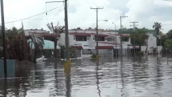 Colocar señaléticas en las zonas inundables e identificar rutas de evacuación podría prevenir riesgos en Mazatlán: IMPLAN