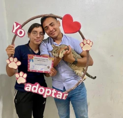 Más de 95 mascotas ya tienen hogar gracias a Huellitas del Bienestar