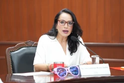 Exige diputada Irma Moreno activar Alerta de Violencia de Género en Escuinapa