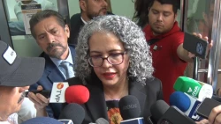 Trabajo del gabinete estatal de revisa todos los días : Graciela Domínguez