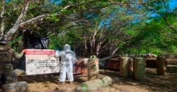 Cateo en Carboneras, Culiacán deja decomiso
