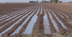 Anuncian inversión de 5,650 mdp para la modernización de los distritos de riego del Río Yaqui y Río Mayo