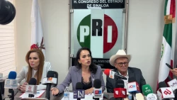 Exigen sanciones a servidores públicos, omisos en el penal de El Castillo: GPPRI
