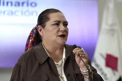 Guadalupe Taddei anuncia su renuncia al INE ante la Cámara de Diputados