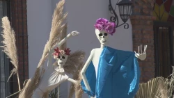 Aumenta hasta 80% afluencia turística en Cócorit por festejos del Día de Muertos