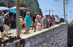 Turismo de cruceros genera una derrama económica estimada en 659 millones de pesos
