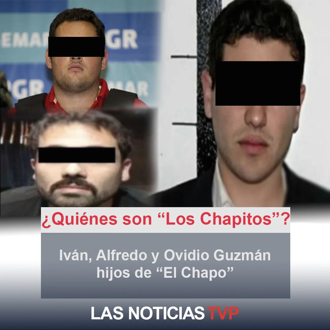 ¿quiénes Son Los Chapitos Mexico Noticias Tvp Tvpacificomxemk 9318